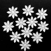 24x White Daisy Flower 20mm/25mm Embroidered Giupure Sew on Applique Patches