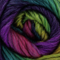 1x King Cole Riot Chunky 70% Acrylic 30% Wool 100g Crochet and Knitting Yarn