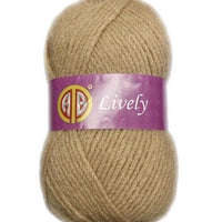 1x AB Lively 75% Acrylic 25% Wool 100g Crochet and Knitting Yarn