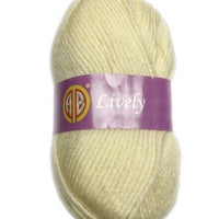 1x AB Lively 75% Acrylic 25% Wool 100g Crochet and Knitting Yarn