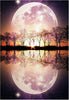 1x 5D Full Drill Moonlight Resin Diamond Art Dots Embroidery Painting Art Kit