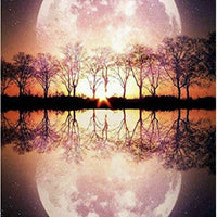 1x 5D Full Drill Moonlight Resin Diamond Art Dots Embroidery Painting Art Kit