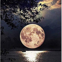 1x 5D Full Drill Moonlight Resin Diamond Art Dots Embroidery Painting Art Kit