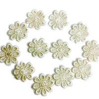 24x Colourful 25mm Daisy Flower Embroidered AB Giupure Sew on Applique Patch