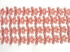 2x Yards 15mm Guipure Embroidered 5 Petals Flower Lace Trim - Pick your Colour