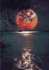 1x 5D Full Drill Moonlight Resin Diamond Art Dots Embroidery Painting Art Kit