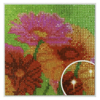 1x 5D Full Drill Flower Theme Resin Diamond Art Dots Embroidery Painting Art Kit