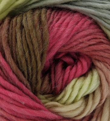 1x King Cole Riot Chunky 70% Acrylic 30% Wool 100g Crochet and Knitting Yarn