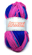 1x Armoni 100% Acrylic100g Medium Crochet and Knitting Yarn